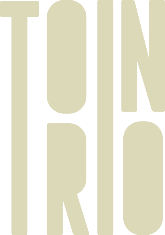 Torino Torino